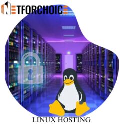 Exploring the Landscape of Linux Hosting Solutions