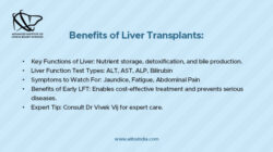 Importance of Liver Function Tests