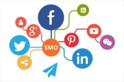 Dominate Your Online Presence with TinyBulls’ Social Media Optimization