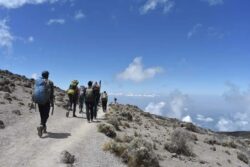Top Kilimanjaro Trekking in Tanzania