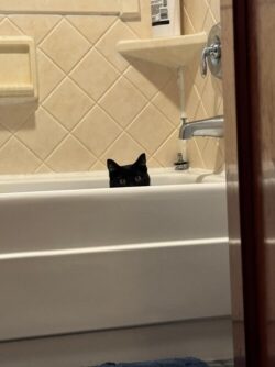 House Cleaning