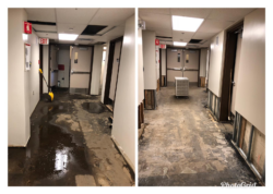 DIY Flood Repair Solutions for Burlington Homeowners