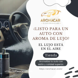 Quitar Malos Olores Del Coche