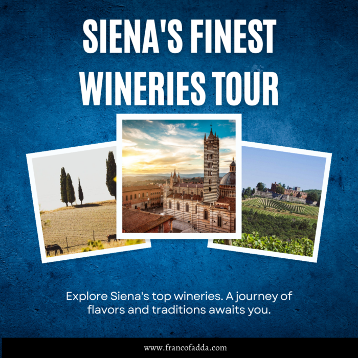 Chianti Wine Tour From Siena