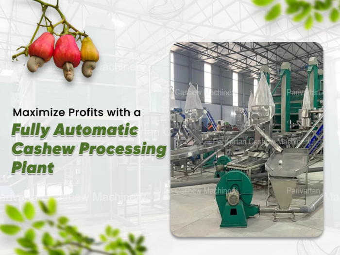 Maximize Profits with a Fully Automatic Cashew Processing Plant