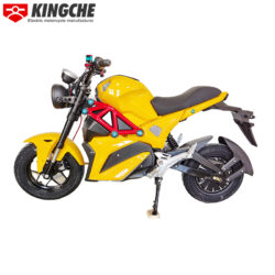 KingChe Electric Motorcycle FGXGS-Colorful