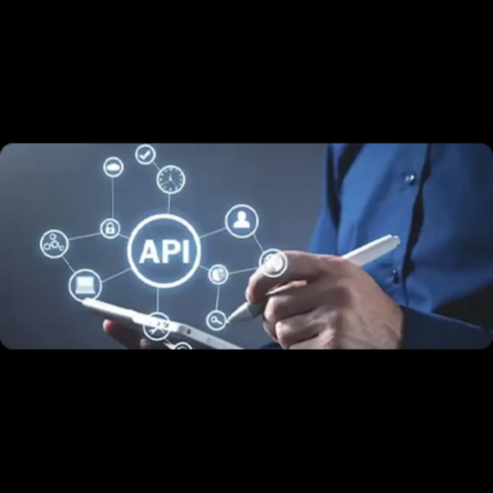 IT Consulting and Software development Company