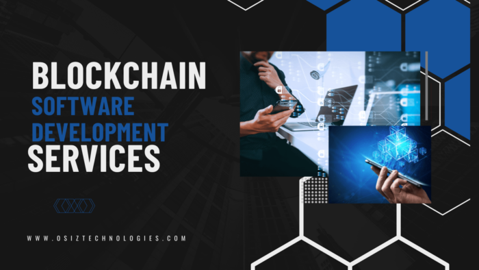 Blockchain Software development services