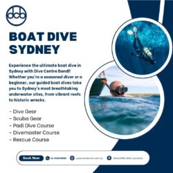 Explore Sydney’s Underwater World with a Boat Dive