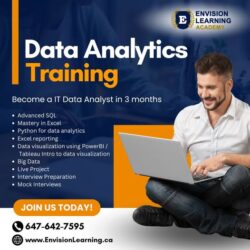 Data Analyst Training for Career Growth at Envision Learning Academy