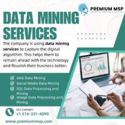 Data Mining services provider in USA