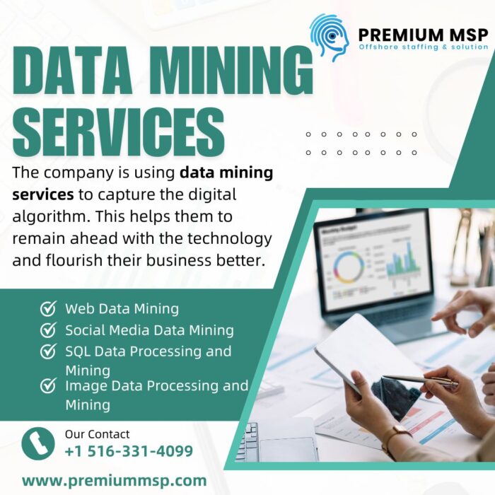 Data Mining services provider in USA