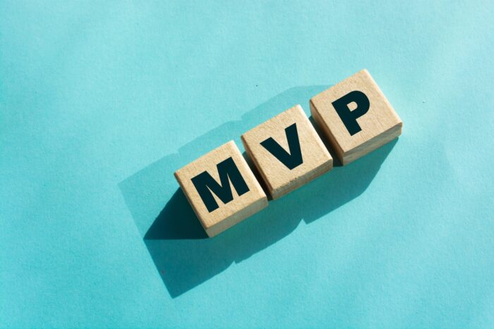 MVP Development Services