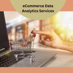eCommerce Data Analytics Services
