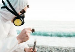 Safe Mosquito Pest Control Treatment