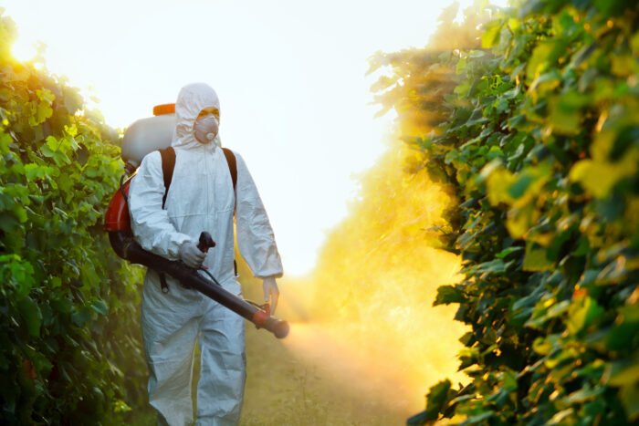 Fly Control & Removal Services