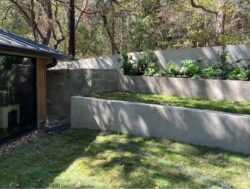 Modern Front Yard Landscaping