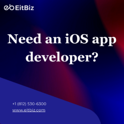 iphone Application Developers