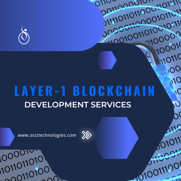Layer-1 Blockchain Development