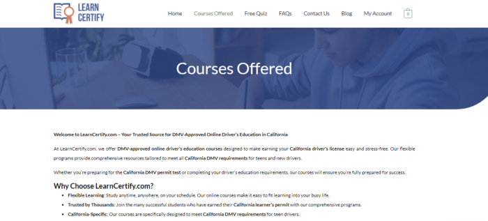 Flexible learning for driver’s education
