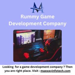 Top Rummy Game Development Company in India | Expert Rummy Game Development Services