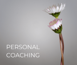 Personal Coaching | Spiritual Life Online Course | Clear Sky Center