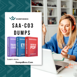 Pass SAA-C03 DUMPS with Expert DumpsBoss Assistance
