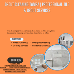 Grout Cleaning Tampa | Professional Tile & Grout Services