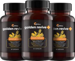 Golden Revive Joint Support Price