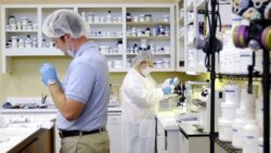 U.S. 503B Compounding Pharmacies Market driven by Increasing Prescription for Compounded Medications