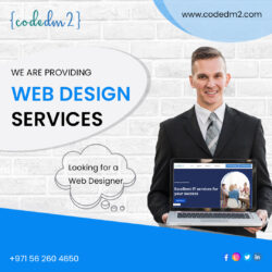 Looking for Web Design Services?