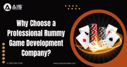 Why Choose a Professional Rummy Game Development Company?