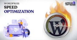 WordPress Speed Optimization Services for a Lightning Fast Website