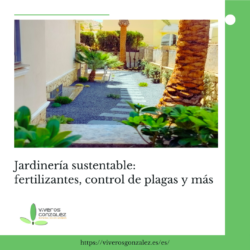 Venta De Vivaces Perennes A Domicilio