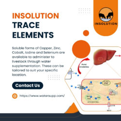 Dosing equipment for livestock