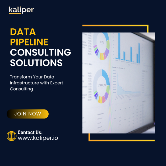 Professional Data Pipeline Consulting