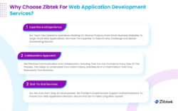 Web Application Development Services