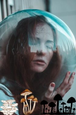 Find Relief with Psilocybin Therapy for Anxiety