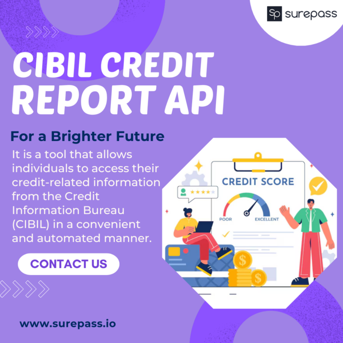 Access Your Credit Related Information With Surepass CIBIL Report API