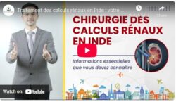 Traitement des calculs rénaux en Inde:votre guide complet pour un avenir sans douleur