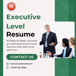 Executive Level Resume