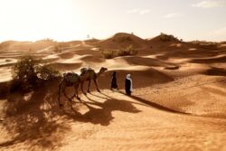 Explore the Top Tourist Places to Visit in Jaisalmer