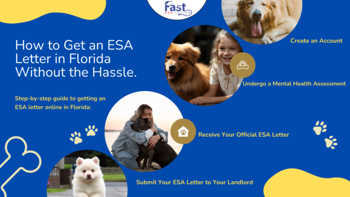 How to get an ESA letter without hassle