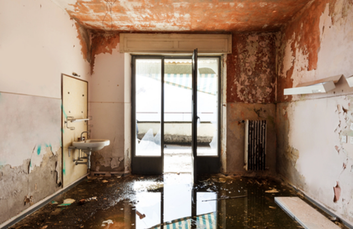 Water Damage LA