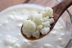 The Kefir Market is driven by increasing demand for probiotic products