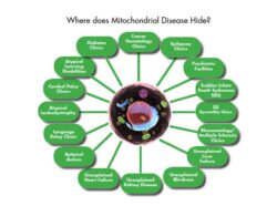 Managing Mitochondrial Disorders: The Role of Gene Therapy and Beyond