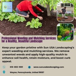 Professional Weeding and Mulching Services for a Healthy, Beautiful Landscape