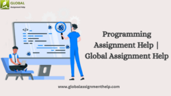 Programming Assignment Help | Global Assignment Help