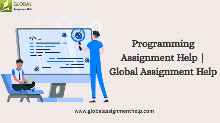 Programming Assignment Help | Global Assignment Help