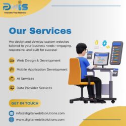 Digital Web IT Solutions – Grow Your Company with Digital Web Solutions